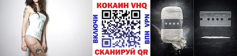 Купить закладки  Губаха  Cocaine Fish Scale 