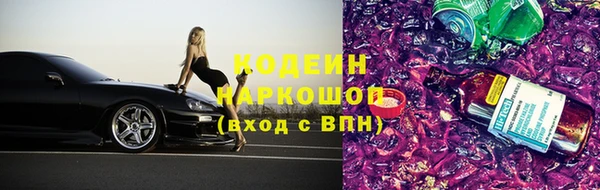 индика Аркадак