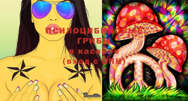 крисы Балахна