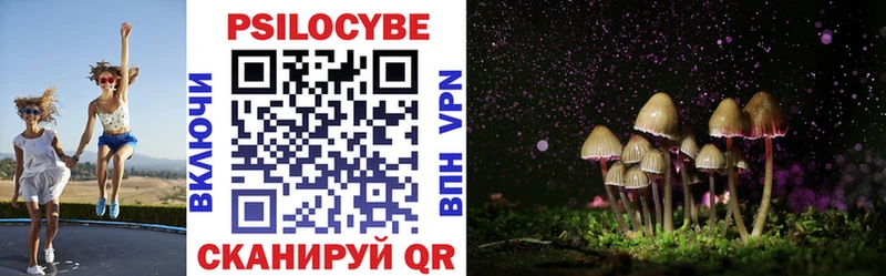 Галлюциногенные грибы Magic Shrooms  Купить  Губаха 